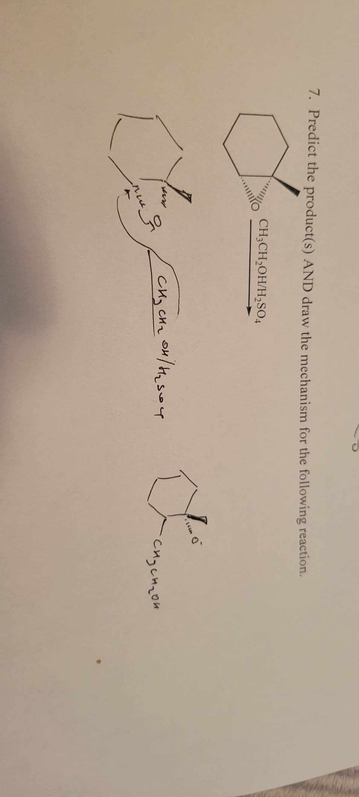 7. Predict the product(s) AND draw the mechanism for the following reaction.
В на
ми
O
CH3CH₂OH/H₂SO4
ния
снусна он/ на зон
бль о
снустгон