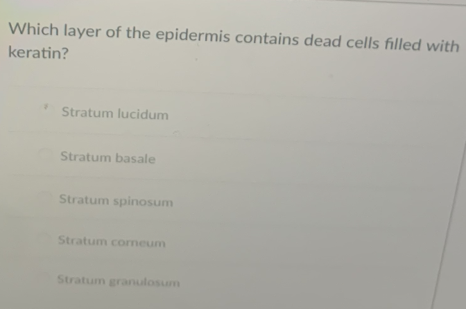 Which layer of the epidermis contains dead cells filled with
keratin?
Stratum lucidum
Stratum basale
Stratum spinosum
Stratum corneum
Stratum granulosum
