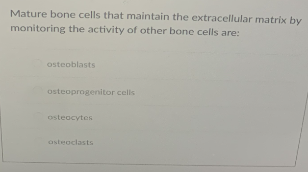 Mature bone cells that maintain the extracellular matrix by
monitoring the activity of other bone cells are:
osteoblasts
osteoprogenitor cells
osteocytes
osteoclasts
