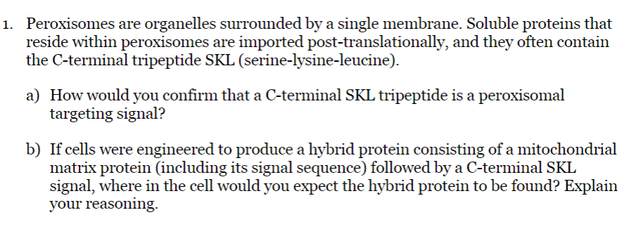 1. Peroxisomes are organelles surrounded by a single membrane. Soluble proteins that
reside within peroxisomes are imported post-translationally, and they often contain
the C-terminal tripeptide SKL (serine-lysine-leucine).
a) How would you confirm that a C-terminal SKL tripeptide is a peroxisomal
targeting signal?
b) If cells were engineered to produce a hybrid protein consisting of a mitochondrial
matrix protein (including its signal sequence) followed by a C-terminal SKL
signal, where in the cell would you expect the hybrid protein to be found? Explain
your reasoning.
