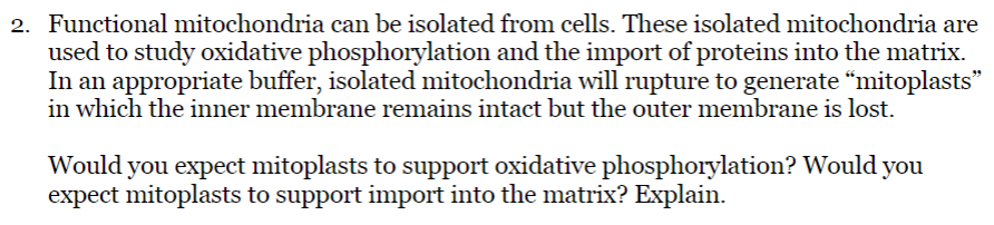 2. Functional mitochondria can be isolated from cells. These isolated mitochondria are
used to study oxidative phosphorylation and the import of proteins into the matrix.
In an appropriate buffer, isolated mitochondria will rupture to generate “mitoplasts"
in which the inner membrane remains intact but the outer membrane is lost.
Would you expect mitoplasts to support oxidative phosphorylation? Would you
expect mitoplasts to support import into the matrix? Explain.
