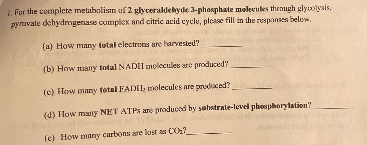 1. For the complete metabolism of 2 glyceraldehyde 3-phosphate molecules through glycolysis,
pyruvate dehydrogenase complex and citric acid cycle, please fill in the
responses below.
(a) How many total electrons are harvested?
(b) How many total NADH molecules are produced?
(c) How many total FADH2 molecules are produced?
shi or Ins
(d) How many NET ATPs are produced by substrate-level phosphorylation?
boats on
(e) How many carbons are lost as CO₂?