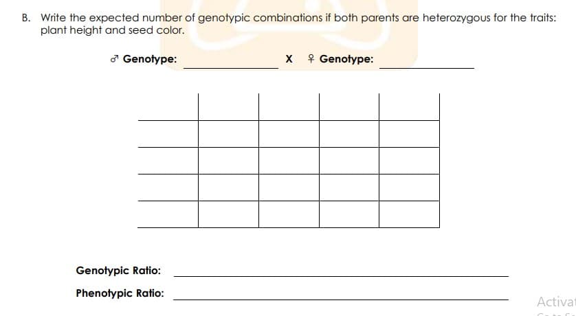 B. Write the expected number of genotypic combinations if both parents are heterozygous for the traits:
plant height and seed color.
ở Genotype:
X 9 Genotype:
Genotypic Ratio:
Phenotypic Ratio:
Activa

