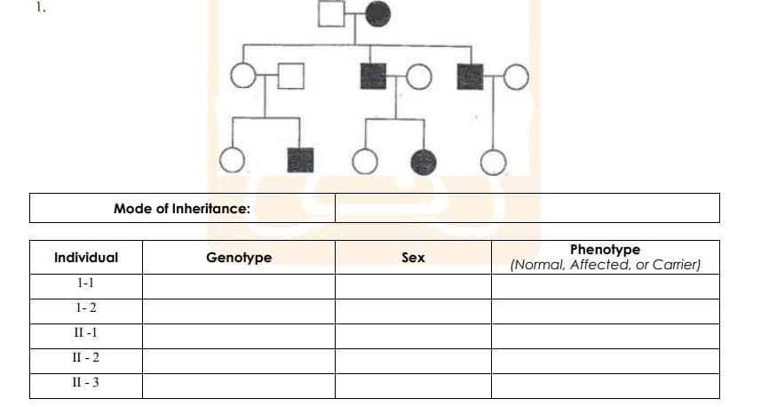 1.
Mode of Inheritance:
Phenotype
(Normal, Affected, or Carrier)
Individual
Genotype
Sex
1-1
1-2
II -1
II - 2
II - 3
