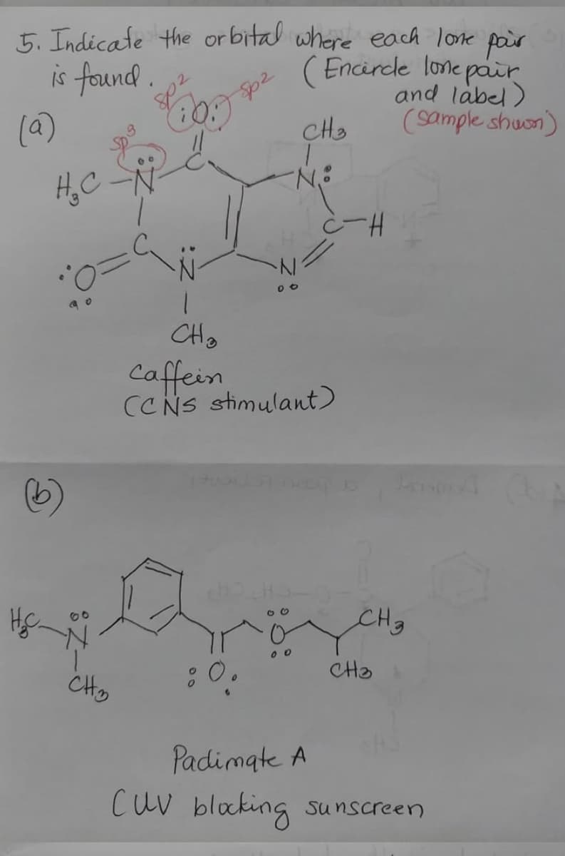 5. Indicate the or bital where each lone pair
( Encircle lone parr
and label)
(sample shuon)
is faund 0)
sp2
(a)
H,C
N.
1.
CH.
Caffein
CCNS stimulant)
CH3
CHa
CHo
Padimate A
cuv blocking sunscreen
