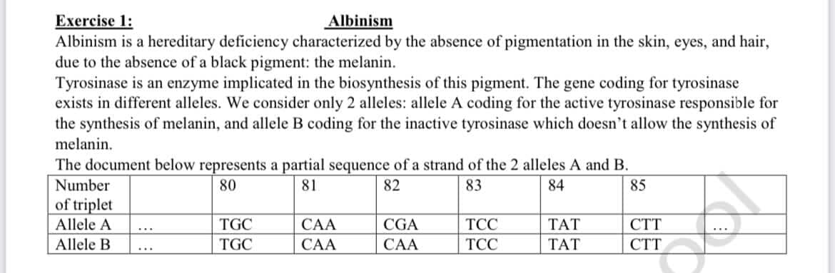 Exercise 1:
Albinism is a hereditary deficiency characterized by the absence of pigmentation in the skin, eyes, and hair,
due to the absence of a black pigment: the melanin.
Tyrosinase is an enzyme implicated in the biosynthesis of this pigment. The gene coding for tyrosinase
exists in different alleles. We consider only 2 alleles: allele A coding for the active tyrosinase responsible for
the synthesis of melanin, and allele B coding for the inactive tyrosinase which doesn't allow the synthesis of
Albinism
melanin.
The document below represents a partial sequence of a strand of the 2 alleles A and B.
Number
80
81
82
83
84
85
of triplet
Allele A
TGC
САА
CGA
ТСС
ТАТ
СТТ
...
Allele B
TGC
САА
САА
TCC
ТАТ
СТТ
...
