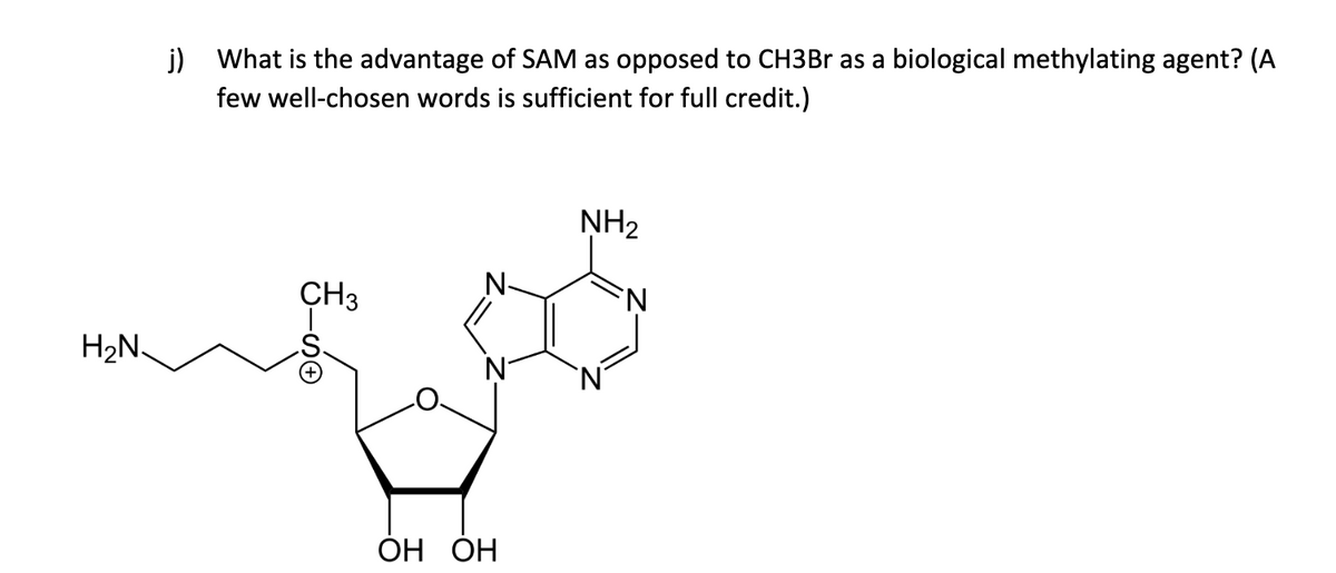 j) What is the advantage of SAM as opposed to CH3BR as a biological methylating agent? (A
few well-chosen words is sufficient for full credit.)
NH2
CH3
N-
H2N.
ОН ОН
