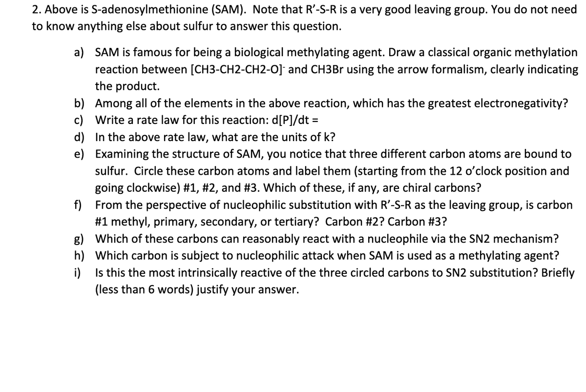 2. Above is S-adenosylmethionine (SAM). Note that R'-S-R is a very good leaving group. You do not need
to know anything else about sulfur to answer this question.
a) SAM is famous for being a biological methylating agent. Draw a classical organic methylation
reaction between [CH3-CH2-CH2-O] and CH3BR using the arrow formalism, clearly indicating
the product.
b) Among all of the elements in the above reaction, which has the greatest electronegativity?
c) Write a rate law for this reaction: d[P]/dt =
d) In the above rate law, what are the units of k?
e) Examining the structure of SAM, you notice that three different carbon atoms are bound to
sulfur. Circle these carbon atoms and label them (starting from the 12 o'clock position and
going clockwise) #1, #2, and #3. Which of these, if any, are chiral carbons?
f) From the perspective of nucleophilic substitution with R'-S-R as the leaving group, is carbon
#1 methyl, primary, secondary, or tertiary? Carbon #2? Carbon #3?
g) Which of these carbons can reasonably react with a nucleophile via the SN2 mechanism?
h) Which carbon is subject to nucleophilic attack when SAM is used as a methylating agent?
i) Is this the most intrinsically reactive of the three circled carbons to SN2 substitution? Briefly
(less than 6 words) justify your answer.
