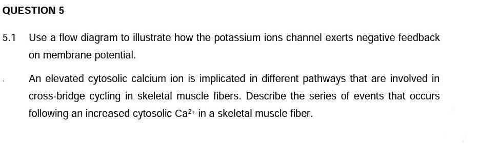 QUESTION 5
5.1
Use a flow diagram to illustrate how the potassium ions channel exerts negative feedback
on membrane potential.
An elevated cytosolic calcium ion is implicated in different pathways that are involved in
cross-bridge cycling in skeletal muscle fibers. Describe the series of events that occurs
following an increased cytosolic Ca? in a skeletal muscle fiber.
