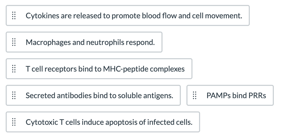 ::::
Cytokines are released to promote blood flow and cell movement.
Macrophages and neutrophils respond.
T cell receptors bind to MHC-peptide complexes
Secreted antibodies bind to soluble antigens.
Cytotoxic T cells induce apoptosis of infected cells.
PAMPs bind PRRs