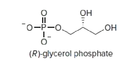 ОН
II
O-P-0.
HO
(R)-glycerol phosphate
O:

