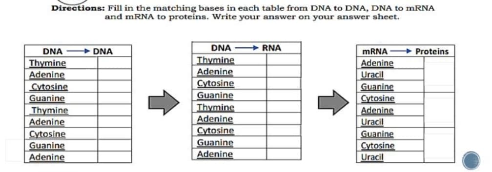 Directions: Fill in the matching bases in each table from DNA to DNA, DNA to mRNA
and mRNA to proteins. Write your answer on your answer sheet.
DNA DNA
DNA RNA
MRNA
+ Proteins
Thymine
Adenine
Cytosine
Guanine
Thymine
Thymine
Adenine
Cytosine
Guanine
Thymine
Adenine
Cytosine
Adenine
Uracil
Guanine
Cytosine
Adenine
Adenine
Uracil
Cytosine
Guanine
Guanine
Cytosine
Guanine
Adenine
Adenine
Uracil
