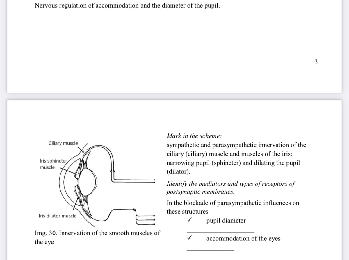 Nervous regulation of accommodation and the diameter of the pupil.
3
Mark in the scheme:
Ciliary muscle
sympathetic and parasympathetic innervation of the
ciliary (ciliary) muscle and muscles of the iris:
narrowing pupil (sphincter) and dilating the pupil
(dilator).
Iris sphincter,
muscle
Identify the mediators and types of receptors of
postsynaptic membranes.
In the blockade of parasympathetic influences on
these structures
Iris dilator muscle
pupil diameter
Img. 30. Innervation of the smooth muscles of
the eye
accommodation of the eyes
