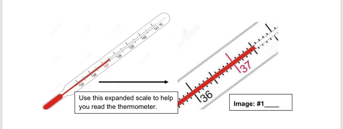 "l29
135
Use this expanded scale to help
you read the thermometer.
\37
136
Image: #1
