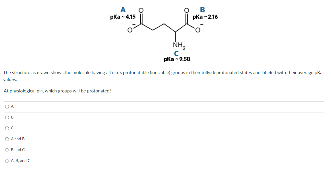 pka - 4.15
pКa ~ 2.16
O.
NH,
C
pКa ~ 9.58
The structure as drawn shows the molecule having all of its protonatable (ionizable) groups in their fully deprotonated states and labeled with their average pKa
values.
At physiological pH, which groups will be protonated?
O A
O B
O A and B
B and C
A, B, and C
O=
