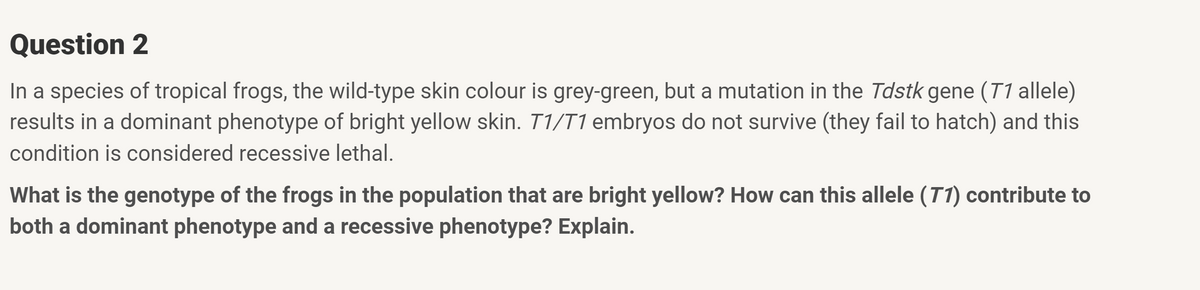 Question 2
In a species of tropical frogs, the wild-type skin colour is grey-green, but a mutation in the Tdstk gene (71 allele)
results in a dominant phenotype of bright yellow skin. T1/T1 embryos do not survive (they fail to hatch) and this
condition is considered recessive lethal.
What is the genotype of the frogs in the population that are bright yellow? How can this allele (T1) contribute to
both a dominant phenotype and a recessive phenotype? Explain.