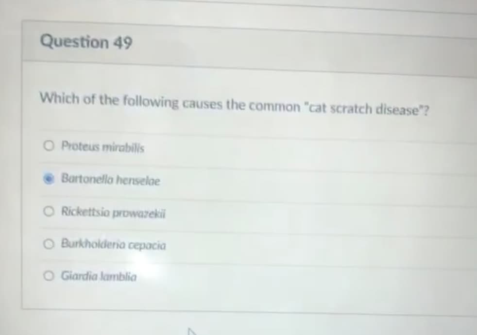 Question 49
Which of the following causes the common "cat scratch disease"?
O Proteus mirabilis
Bartonella herselae
O Rickettsio prowazeki
O Burkholderia cepacia
O Giardia lamblia
