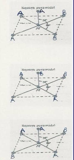 SquayE pyramidal
SquuTE pyramidal
SquuTe pyramidal
B
