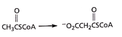 CH3CSCOA -
"0,CCH,CSCOA
