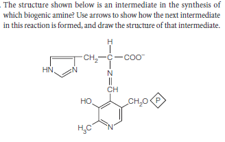 The structure shown below is an intermediate in the synthesis of
which biogenic amine? Use arrows to show how the next intermediate
in this reaction is formed, and draw the structure of that intermediate.
-CH,-C-coo
HN
N
||
CH
HO
CH,0
H,C
