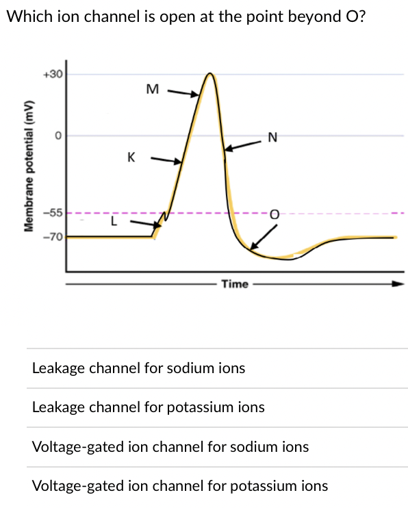 Which ion channel is open at the point beyond O?
M
N
K -
-55
-70
Time
Leakage channel for sodium ions
Leakage channel for potassium ions
Voltage-gated ion channel for sodium ions
Voltage-gated ion channel for potassium ions
Membrane potential (mV)
