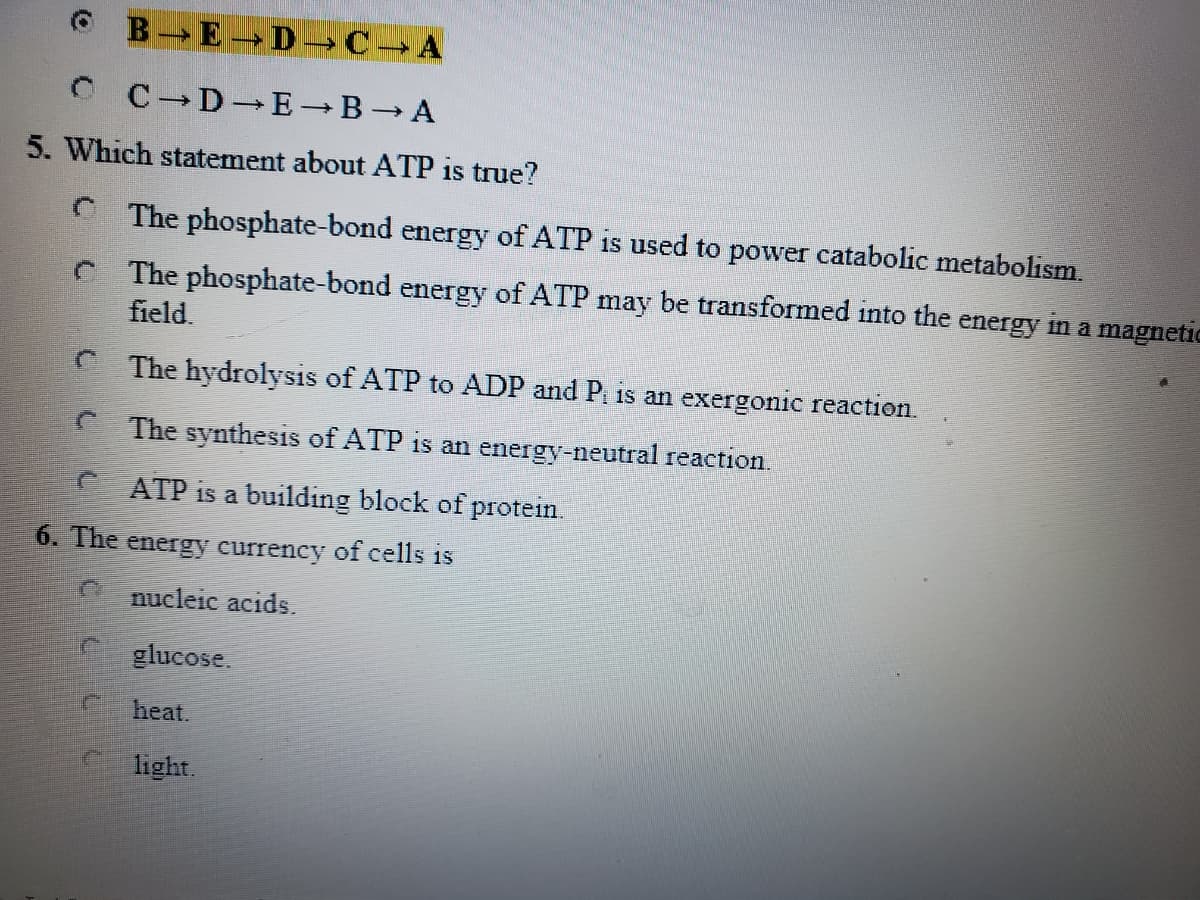 © B E D C A
C C D E B A
5. Which statement about ATP is true?
C The phosphate-bond energy of ATP is used to power catabolic metabolism.
C The phosphate-bond energy of ATP may be transformed into the energy in a magnetic
field.
The hydrolysis of ATP to ADP and P is an exergonic reaction.
The synthesis of ATP is an energy-neutral reaction.
ATP is a buildıng block of protein.
6. The energy currency of cells is
nucleic acids.
glucose.
heat.
light.
