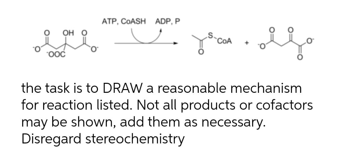 АТР, СОASH
ADP, P
ОН О
COA
"OOC
the task is to DRAW a reasonable mechanism
for reaction listed. Not all products or cofactors
may be shown, add them as necessary.
Disregard stereochemistry
