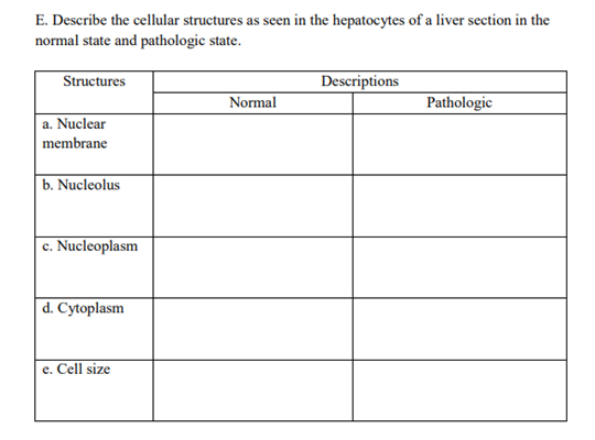 E. Describe the cellular structures as seen in the hepatocytes of a liver section in the
normal state and pathologic state.
Structures
Descriptions
Normal
Pathologic
a. Nuclear
membrane
|b. Nucleolus
c. Nucleoplasm
d. Cytoplasm
e. Cell size
