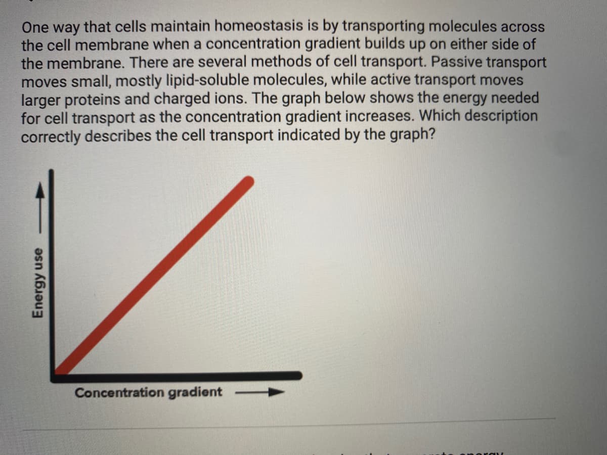 One way that cells maintain homeostasis is by transporting molecules across
the cell membrane when a concentration gradient builds up on either side of
the membrane. There are several methods of cell transport. Passive transport
moves small, mostly lipid-soluble molecules, while active transport moves
larger proteins and charged ions. The graph below shows the energy needed
for cell transport as the concentration gradient increases. Which description
correctly describes the cell transport indicated by the graph?
Concentration gradient
Energy use
