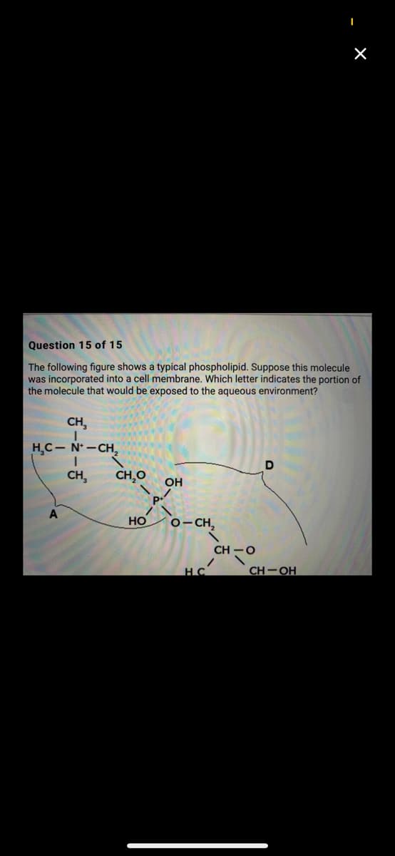 Question 15 of 15
The following figure shows a typical phospholipid. Suppose this molecule
was incorporated into a cell membrane. Which letter indicates the portion of
the molecule that would be exposed to the aqueous environment?
CH,
HC- N -CH,
CH,
CH,O
OH
A
но
o-CH,
CH -O
HC
CH-OH
