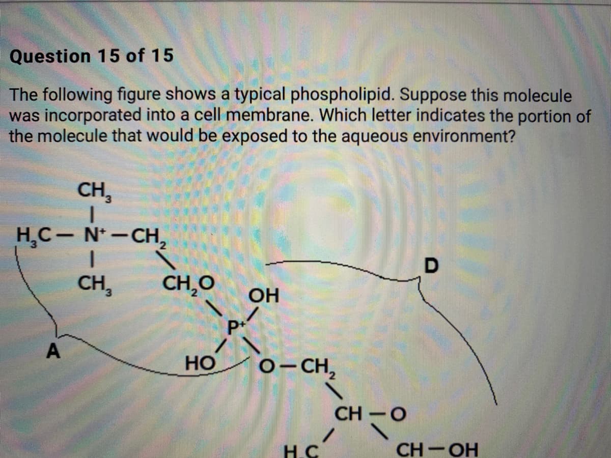 Question 15 of 15
The following figure shows a typical phospholipid. Suppose this molecule
was incorporated into a cell membrane. Which letter indicates the portion of
the molecule that would be exposed to the aqueous environment?
CH,
H.C- N-CH,
CH,
CH,O
OH
A
HO
o-CH,
CH -O
Н.С
CH -OH
