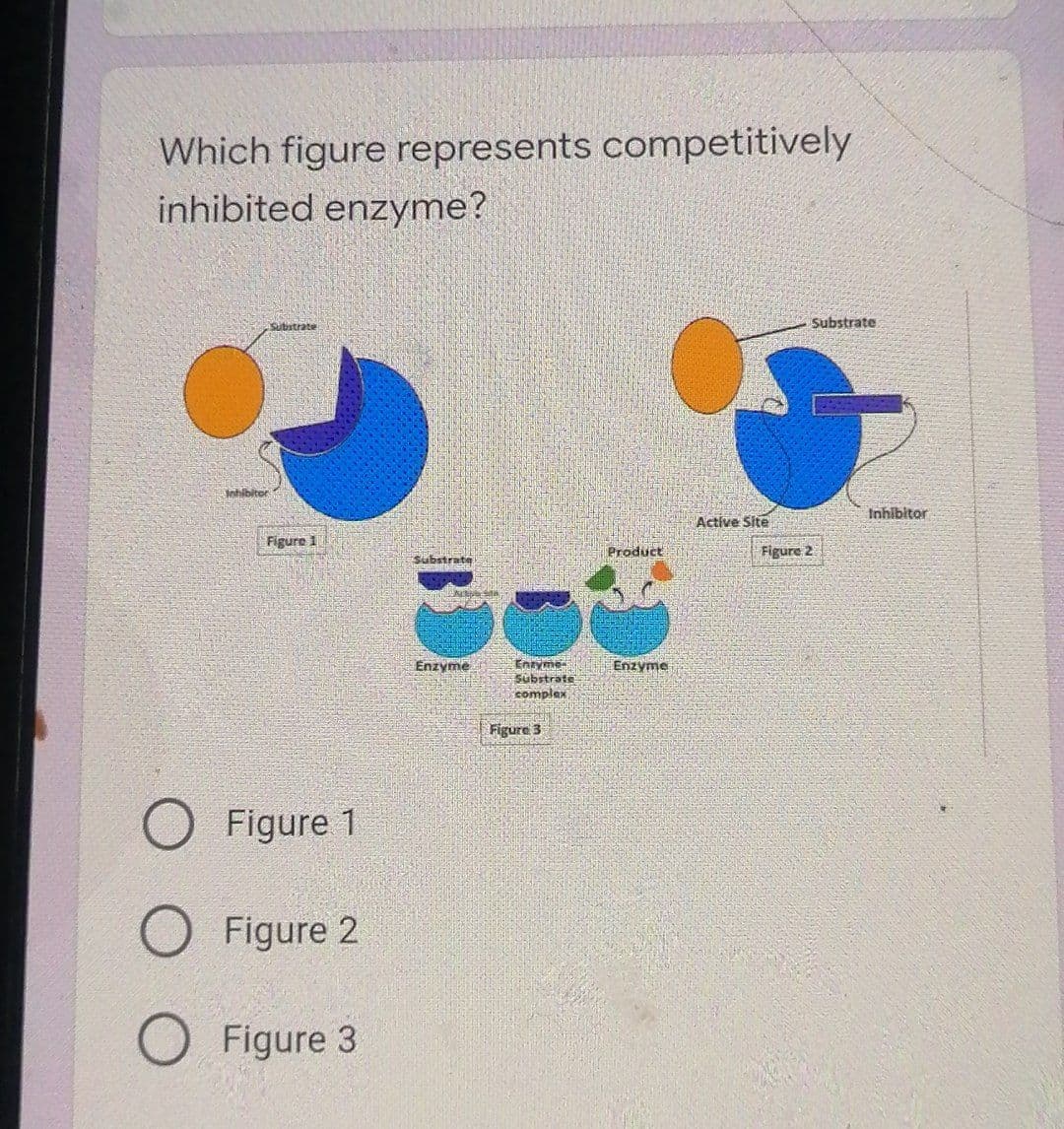 Which figure represents competitively
inhibited enzyme?
Substrate
Substrate
Inhibitor
Figure 1
Figure 1
Figure 2
O Figure 3
Substrate
Enzyme
Entyme
Substrate
complex
Figure 3
Product
Enzyme
Active Site
Figure 2
Inhibitor