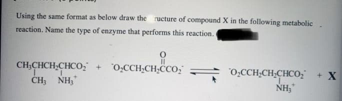 Using the same format as below draw the ructure of compound X in the following metabolic
reaction. Name the type of enzyme that performs this reaction.
O
CH3CHCH₂CHCO₂ + O₂CCH₂CH₂CCO₂
CH, NH3
O₂CCH₂CH₂CHCO₂ + X
NH₂+