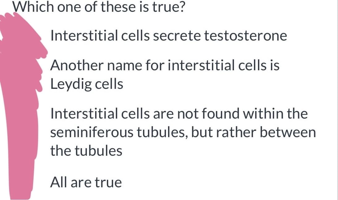 Which one of these is true?
Interstitial cells secrete testosterone
Another name for interstitial cells is
Leydig cells
Interstitial cells are not found within the
seminiferous tubules, but rather between
the tubules
All are true