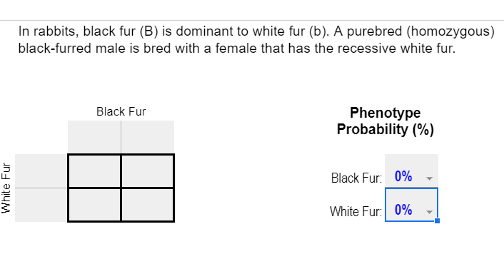 In rabbits, black fur (B) is dominant to white fur (b). A purebred (homozygous)
black-furred male is bred with a female that has the recessive white fur.
Phenotype
Probability (%)
Black Fur
Black Fur: 0%
White Fur: 0%
White Fur
