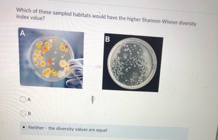 Which of these sampled habitats would have the higher Shannon-Wiener diversity
index value?
A
OA
OB
B
Neither the diversity values are equal