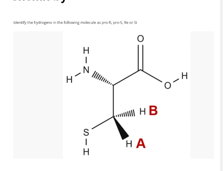 Identify the hydrogens in the following molecule as pro-R, pro-S, Re or Si
HB
НА
エーZ
- I
