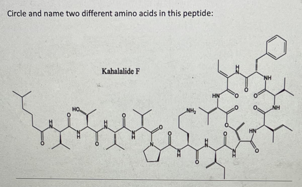 Circle and name two different amino acids in this peptide:
Kahalalide F
HN
HN
HO
NH
HN
HN
