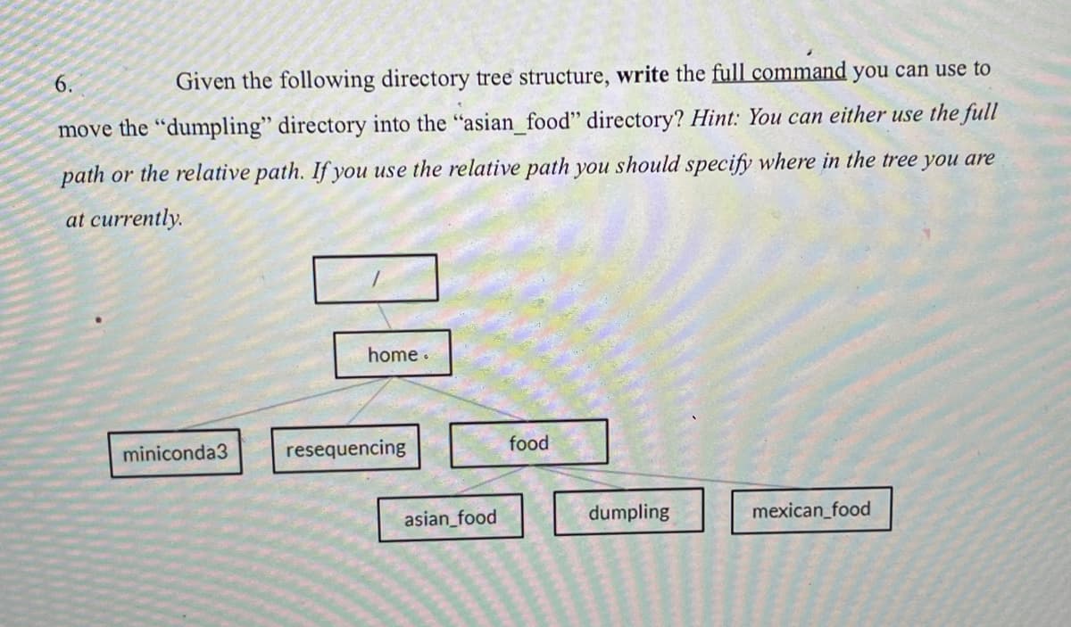 6.
Given the following directory tree structure, write the full command you can use to
move the "dumpling" directory into the "asian_food" directory? Hint: You can either use the full
path or the relative path. If you use the relative path you should specify where in the tree you are
at currently.
home .
miniconda3
resequencing
food
asian_food
dumpling
mexican_food
