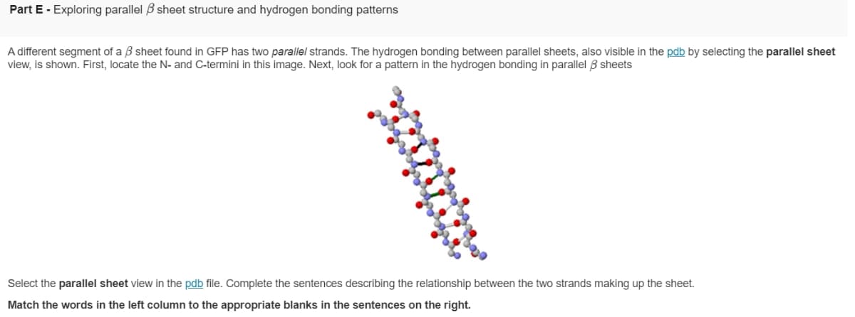 Part E - Exploring parallel sheet structure and hydrogen bonding patterns
A different segment of a 3 sheet found in GFP has two parallel strands. The hydrogen bonding between parallel sheets, also visible in the pdb by selecting the parallel sheet
view, is shown. First, locate the N- and C-termini in this image. Next, look for a pattern in the hydrogen bonding in parallel 3 sheets
Select the parallel sheet view in the pdb file. Complete the sentences describing the relationship between the two strands making up the sheet.
Match the words in the left column to the appropriate blanks in the sentences on the right.