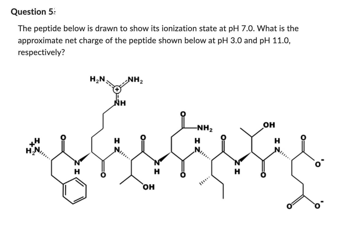 Question 5:
The peptide below is drawn to show its ionization state at pH 7.0. What is the
approximate net charge of the peptide shown below at pH 3.0 and pH 11.0,
respectively?
H
H₂N
NH
H
NH ₂
H
OH
-NH₂
H
H
OH
H