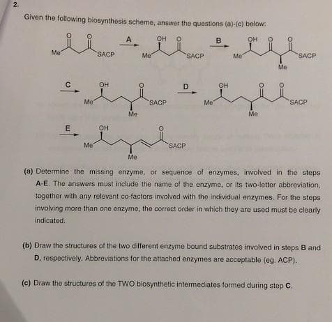 2.
Given the following biosynthesis scheme, answer the questions (a)-(c) below.
OH
OH
Me
C
E
Me
Me
SACP
OH
OH
A
Me
Me
Me
SACP
SACP
D
SACP
Me
B
OH
Me
Me
Me
SACP
SACP
(a) Determine the missing enzyme, or sequence of enzymes, involved in the steps
A-E. The answers must include the name of the enzyme, or its two-letter abbreviation,
together with any relevant co-factors involved with the individual enzymes. For the steps
involving more than one enzyme, the correct order in which they are used must be clearly
indicated.
(b) Draw the structures of the two different enzyme bound substrates involved in steps B and
D, respectively. Abbreviations for the attached enzymes are acceptable (eg. ACP).
(c) Draw the structures of the TWO biosynthetic intermediates formed during step C.