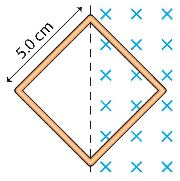 5.0 cm
X,
× ×へ×
メ
