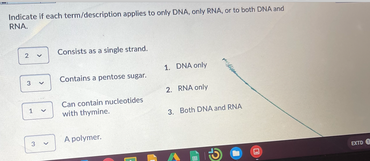 Indicate if each term/description applies to only DNA, only RNA, or to both DNA and
RNA.
Consists as a single strand.
1. DNA only
Contains a pentose sugar.
2. RNA only
Can contain nucleotides
with thymine.
3. Both DNA and RNA
A polymer.
3
EXTD
>
<>
2.
