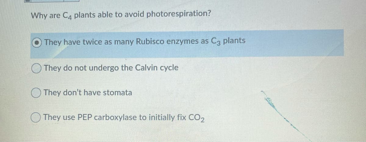 Why are C4 plants able to avoid photorespiration?
They have twice as many Rubisco enzymes as C3 plants
They do not undergo the Calvin cycle
They don't have stomata
O They use PEP carboxylase to initially fix CO2
