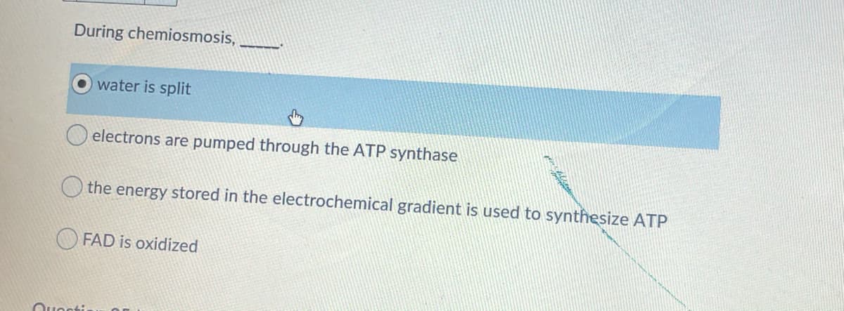 During chemiosmosis,
water is split
electrons are pumped through the ATP synthase
the energy stored in the electrochemical gradient is used to synthesize ATP
FAD is oxidized
Quocti

