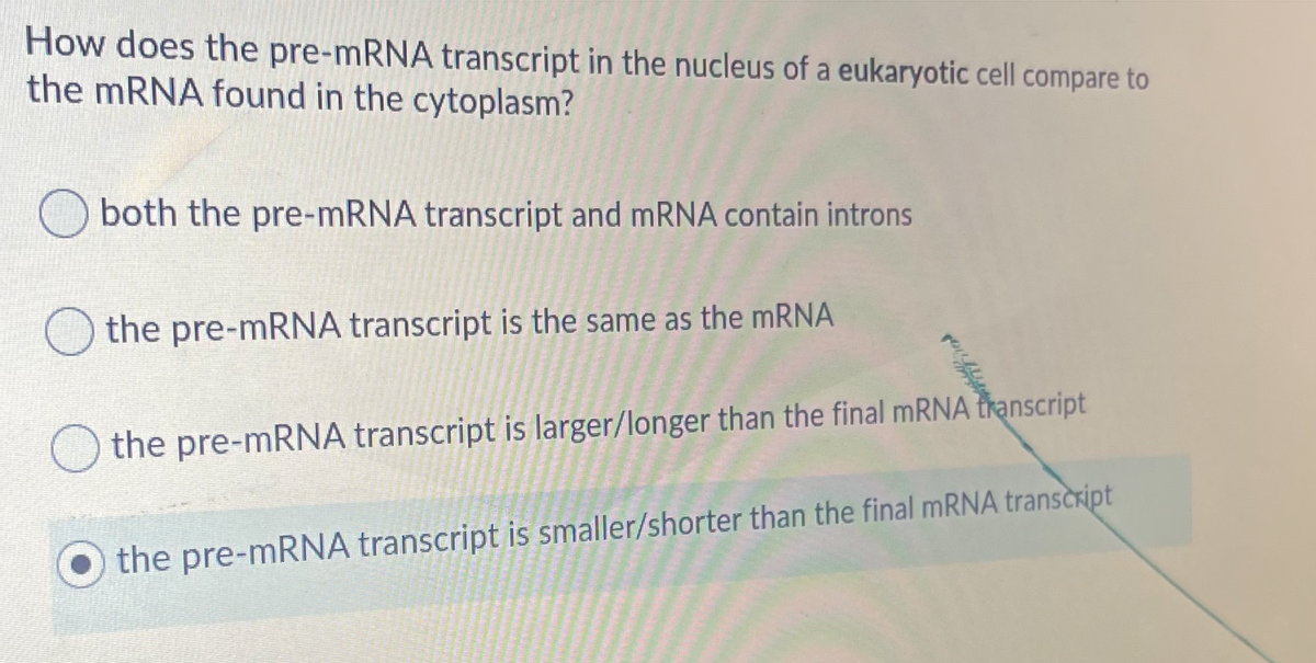 How does the pre-MRNA transcript in the nucleus of a eukaryotic cell compare to
the MRNA found in the cytoplasm?
O both the pre-mRNA transcript and MRNA contain introns
O the pre-mRNA transcript is the same as the MRNA
the pre-MRNA transcript is larger/longer than the final MRNA transcript
the pre-mRNA transcript is smaller/shorter than the final mRNA transcript

