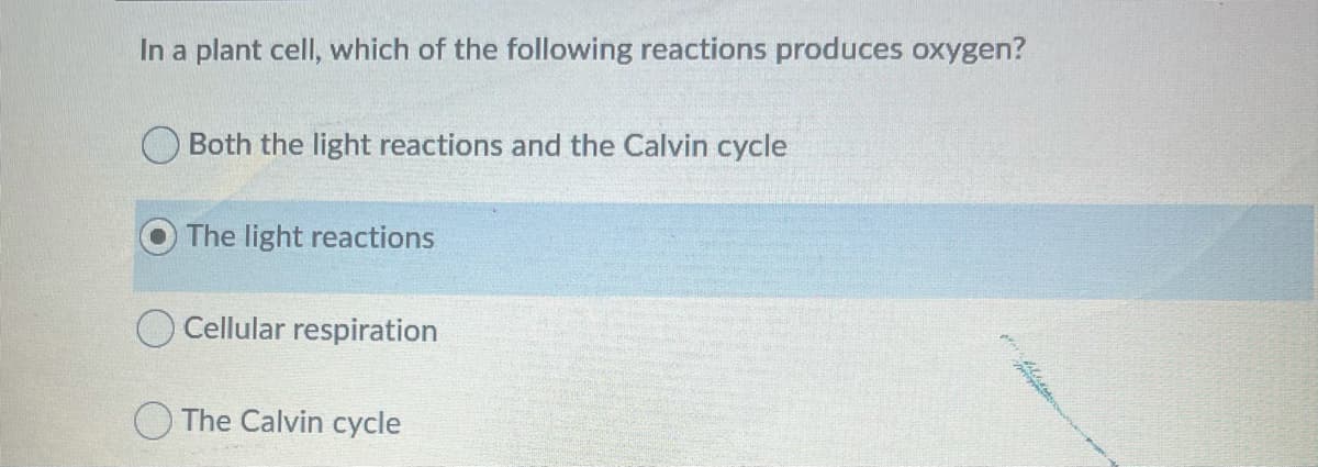 In a plant cell, which of the following reactions produces oxygen?
Both the light reactions and the Calvin cycle
The light reactions
O Cellular respiration
O The Calvin cycle
