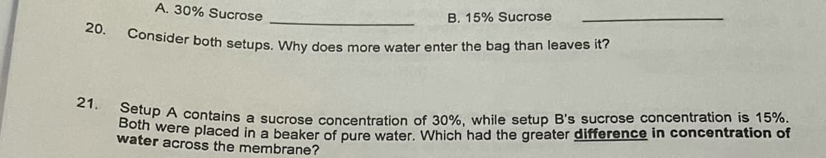 A. 30% Sucrose
B. 15% Sucrose
20.
Consider both setups, Why does more water enter the bag than leaves it?
BethA contains a sucrose concentration of 30%. while setup B's sucrose concentration is 15%.
were placed in a beaker of pure water, Which had the greater difference in concentration of
water across the membrane?
21.
