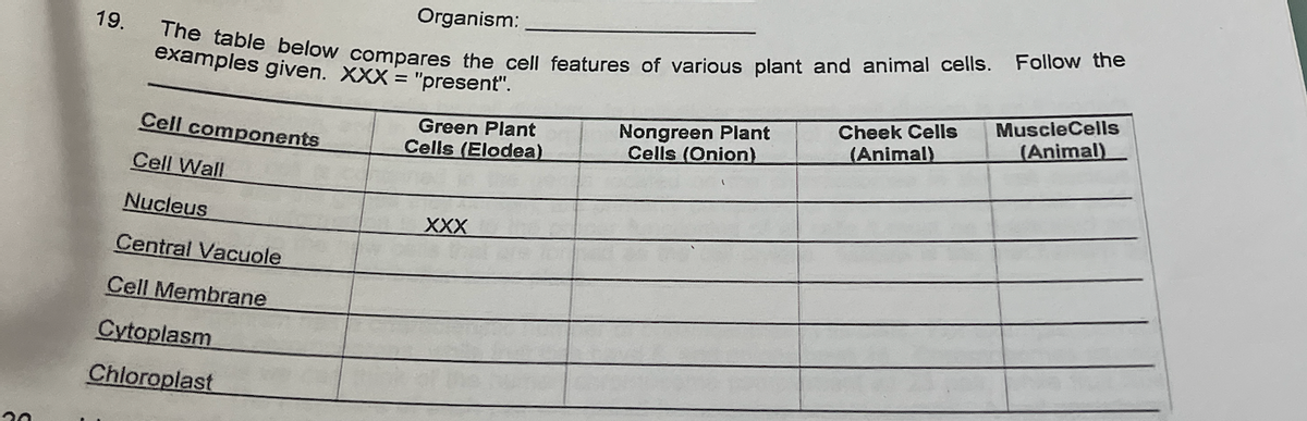 Organism:
The table below compares the cell features of various plant and animal cells.
19.
Follow the
examples given. XXX = "present".
MuscleCells
(Animal)
Cheek Cells
Nongreen Plant
Cells (Onion)
Green Plant
Cell components
Cells (Elodea)
(Animal)
Cell Wall
Nucleus
XXX
Central Vacuole
Cell Membrane
Cytoplasm
Chloroplast
